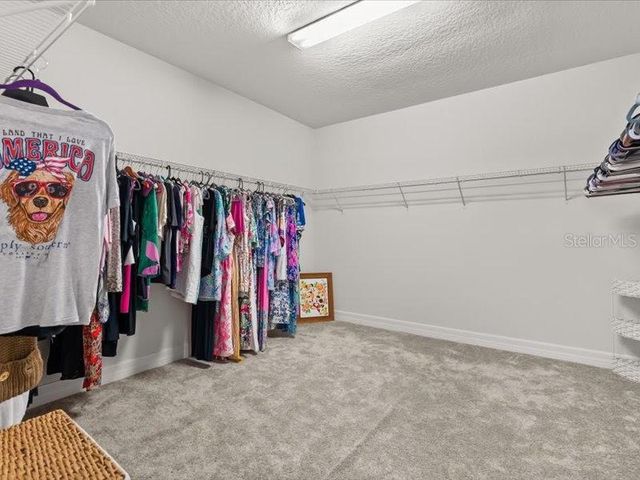 11256 LEMON LAKE BOULEVARD, Orlando, FL 32836