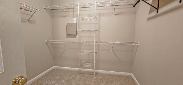 8678 ASHBURY OAK DR, Memphis, TN 38018