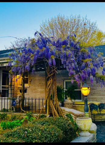 1140 S Weller Avenue, Springfield, MO 65804