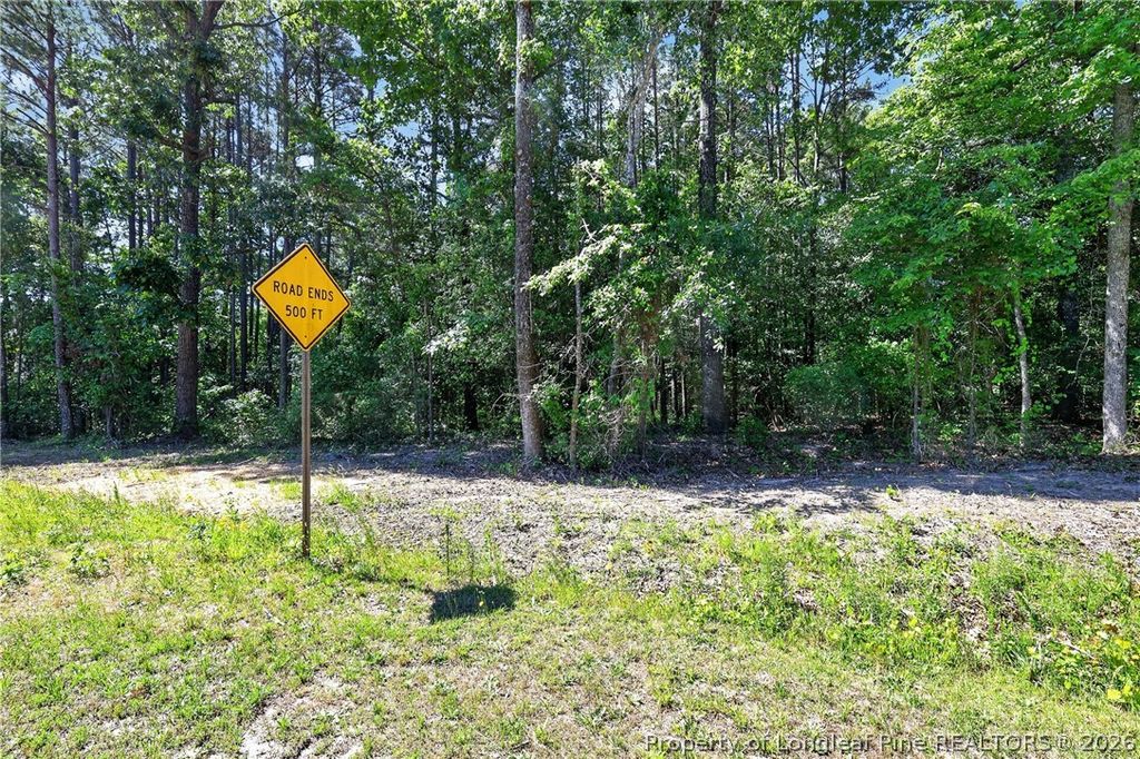0 Fred Stone Road, Sanford, NC 27332 — photo 5