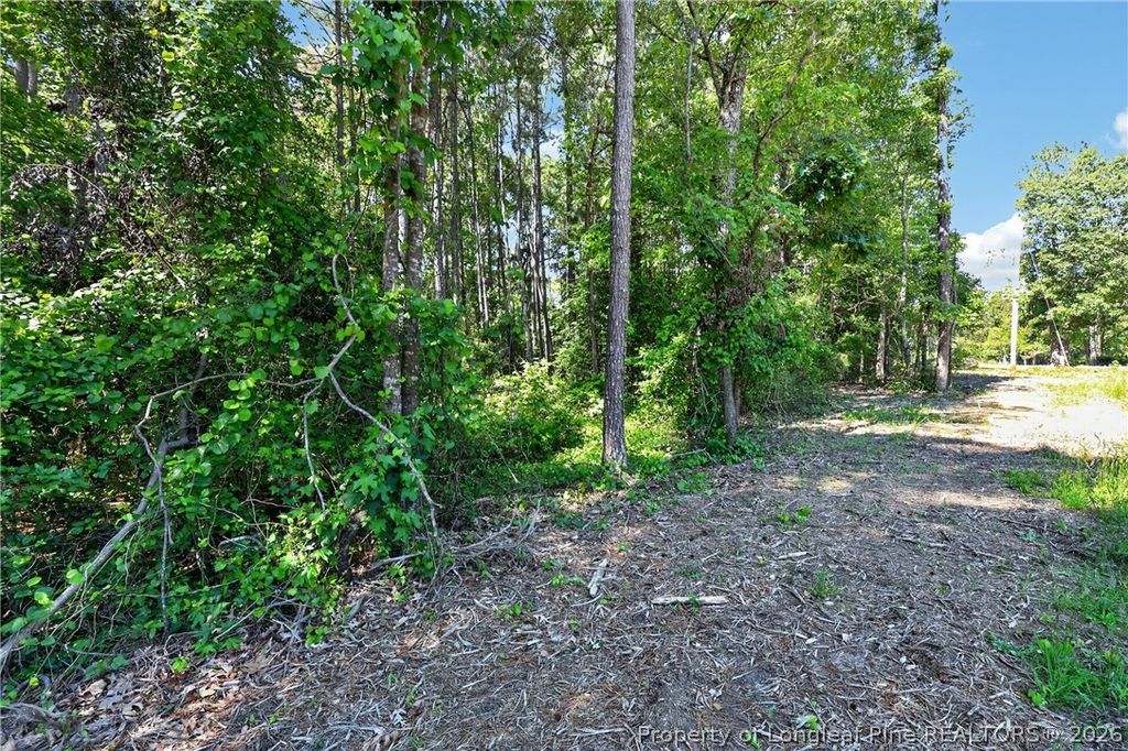 0 Fred Stone Road, Sanford, NC 27332 — photo 6