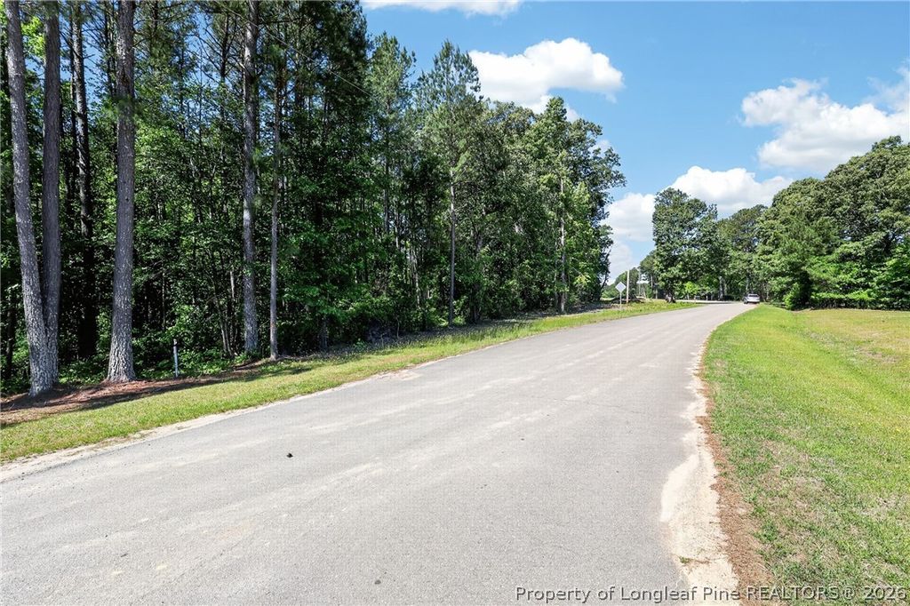 0 Fred Stone Road, Sanford, NC 27332 — photo 8