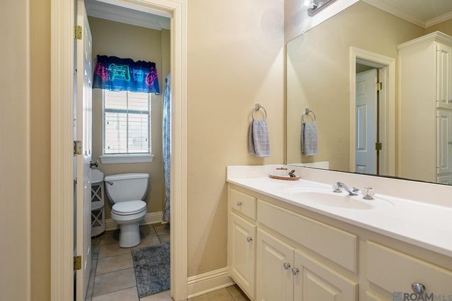 18666 Mossy Oak Ct, Prairieville, LA 70769