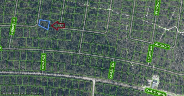 6726 Venetia Drive, Sebring, FL 33872