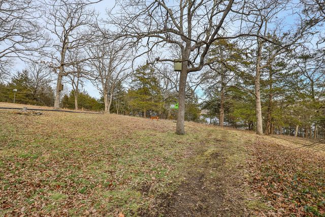 17289 Birch Road, Flemington, MO 65650