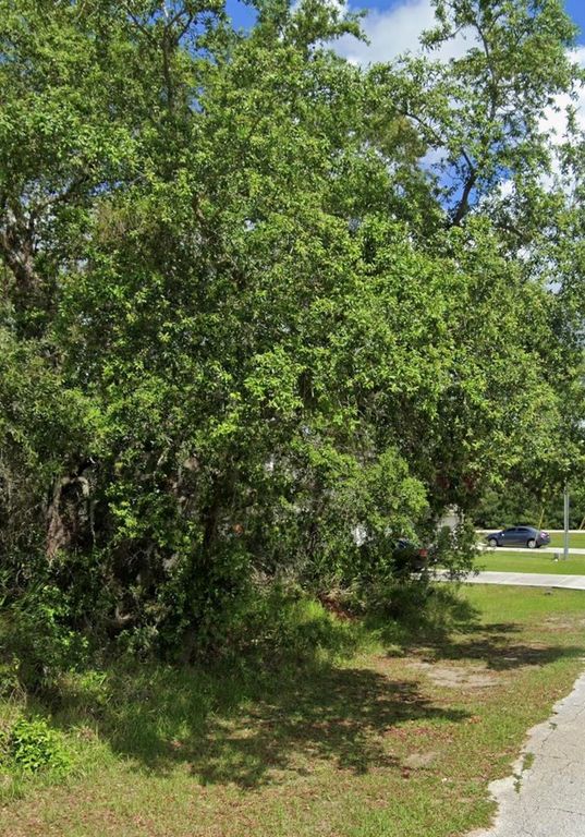 1504 ELOISE COURT, Kissimmee, FL 34759