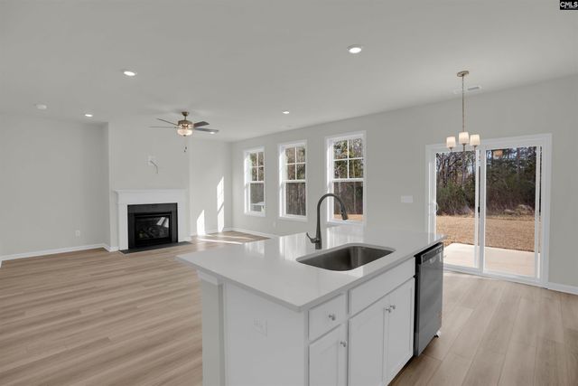 652 Old Charleston Road, Pelion, SC 29123