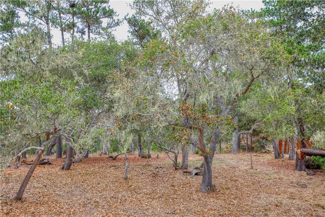 1021 Hillcrest, Cambria, CA 93428