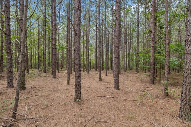 0 Falls Branch Road, Duck River, TN 38454