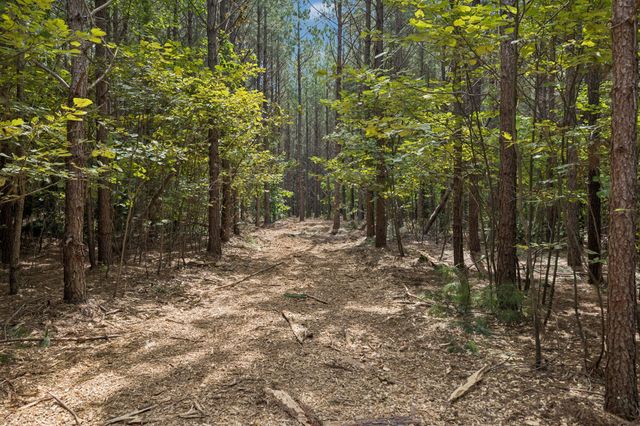 0 Falls Branch Road, Duck River, TN 38454