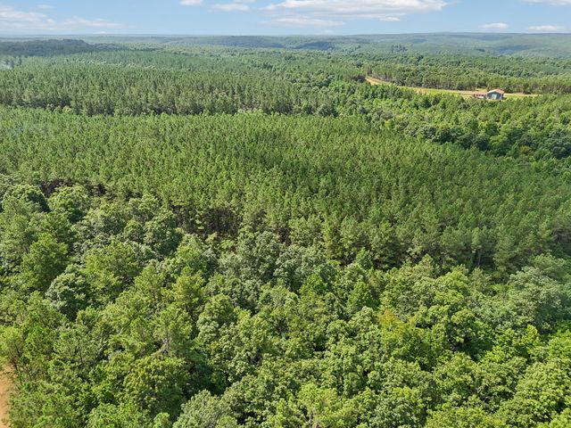 0 Falls Branch Road, Duck River, TN 38454