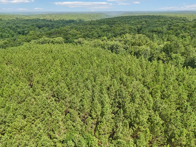 0 Falls Branch Road, Duck River, TN 38454