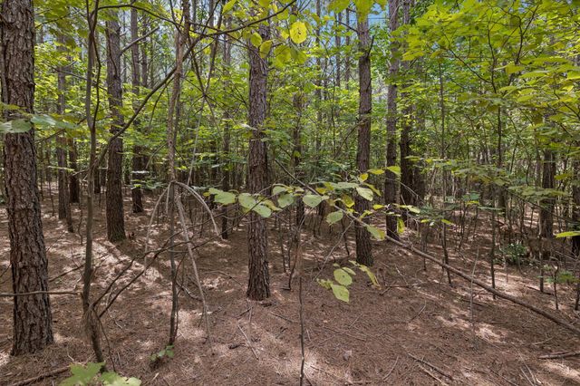 0 Falls Branch Road, Duck River, TN 38454