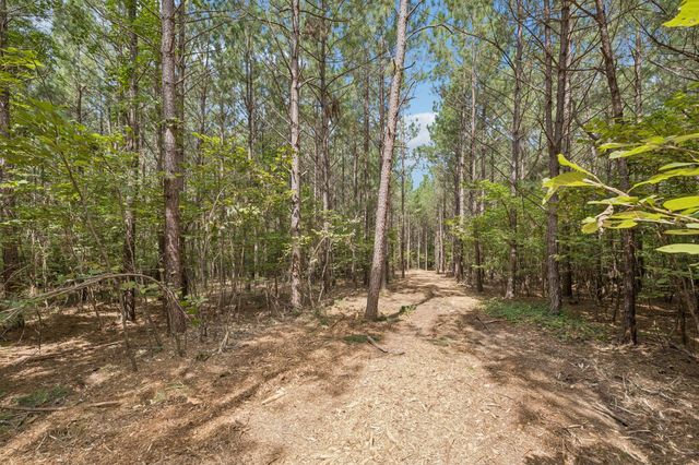 0 Falls Branch Road, Duck River, TN 38454