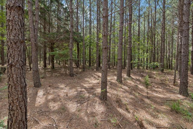 0 Falls Branch Road, Duck River, TN 38454