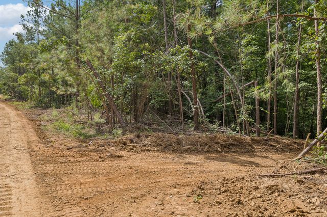 0 Falls Branch Road, Duck River, TN 38454