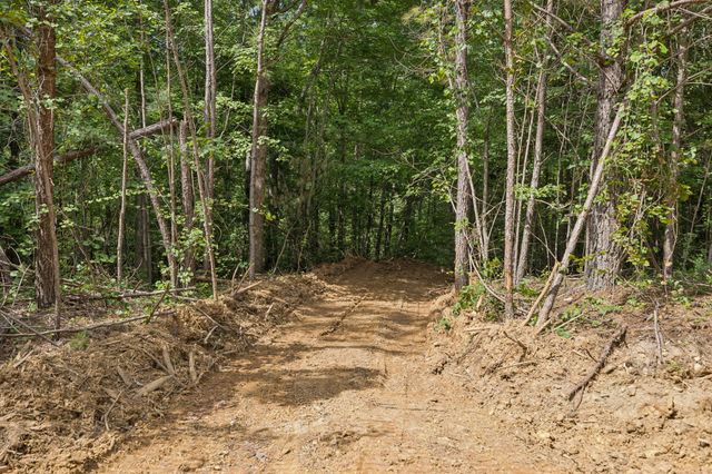 0 Falls Branch Road, Duck River, TN 38454