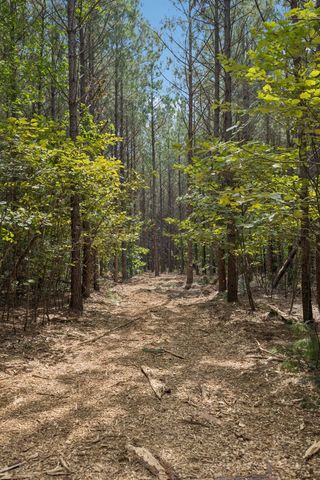 0 Falls Branch Road, Duck River, TN 38454