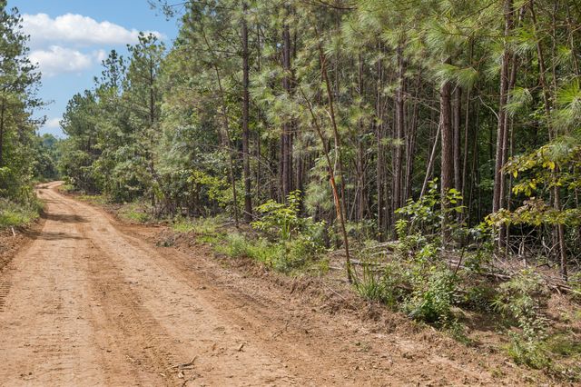 0 Falls Branch Road, Duck River, TN 38454