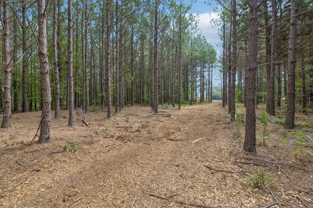 0 Falls Branch Road, Duck River, TN 38454