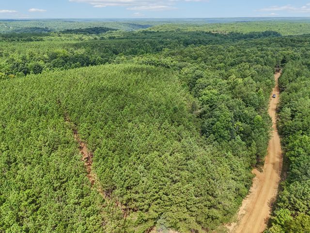 0 Falls Branch Road, Duck River, TN 38454