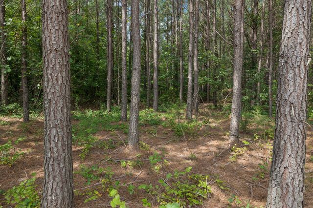 0 Falls Branch Road, Duck River, TN 38454