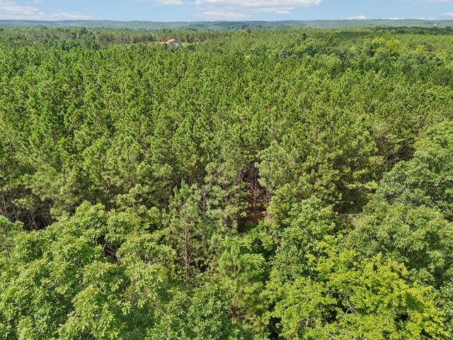 0 Falls Branch Road, Duck River, TN 38454