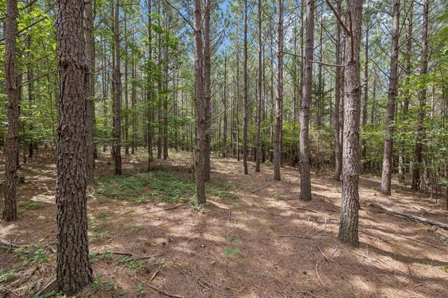 0 Falls Branch Road, Duck River, TN 38454