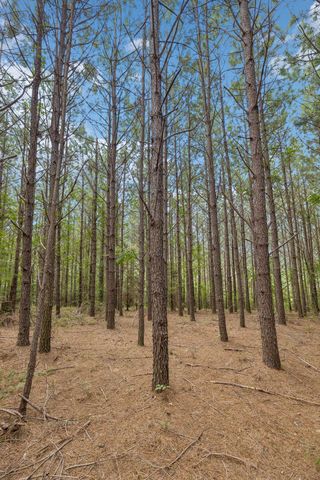 0 Falls Branch Road, Duck River, TN 38454