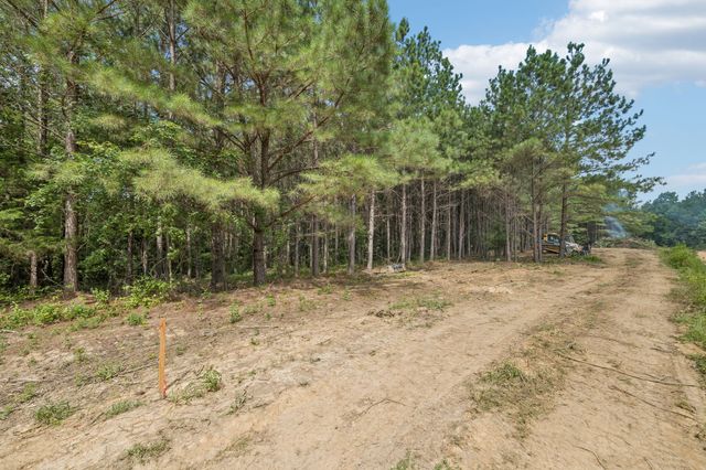 0 Falls Branch Road, Duck River, TN 38454