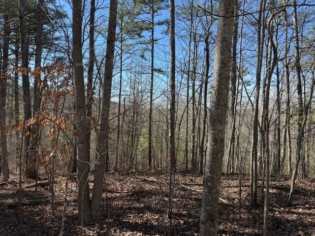 10385 S Pittsburg Mountain Road, South Pittsburg, TN 37380