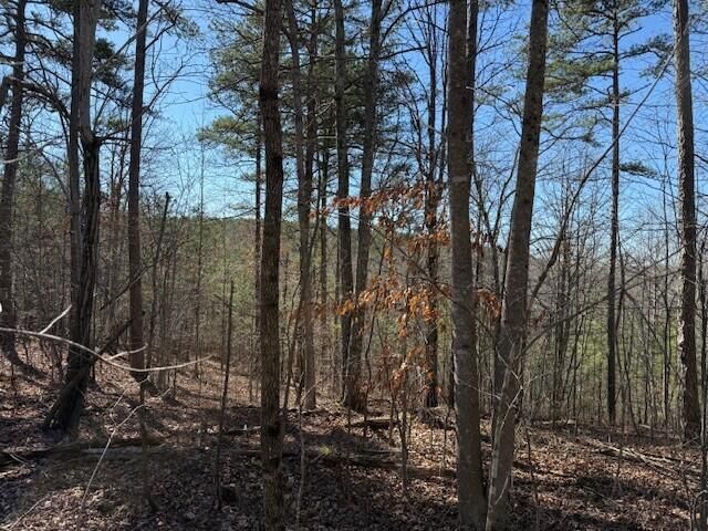 10385 S Pittsburg Mountain Road, South Pittsburg, TN 37380