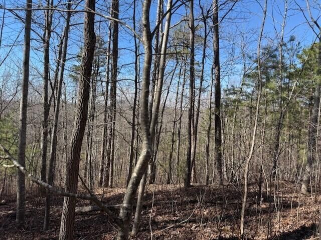 10385 S Pittsburg Mountain Road, South Pittsburg, TN 37380