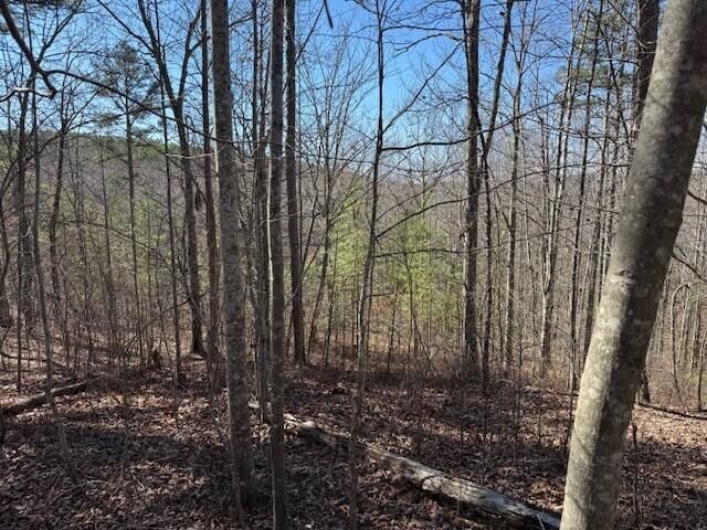 10385 S Pittsburg Mountain Road, South Pittsburg, TN 37380