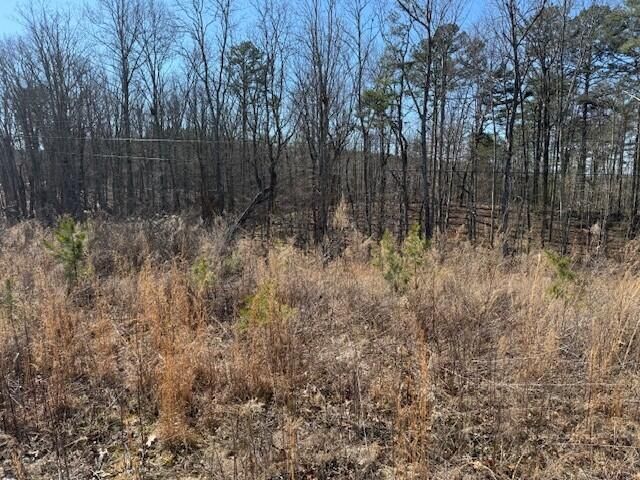 10385 S Pittsburg Mountain Road, South Pittsburg, TN 37380