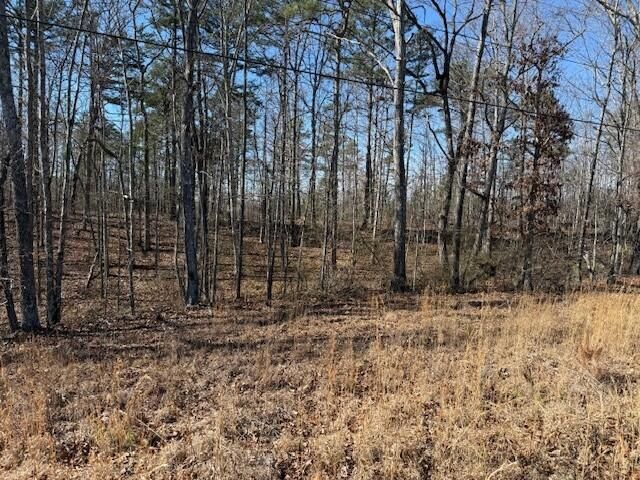 10385 S Pittsburg Mountain Road, South Pittsburg, TN 37380