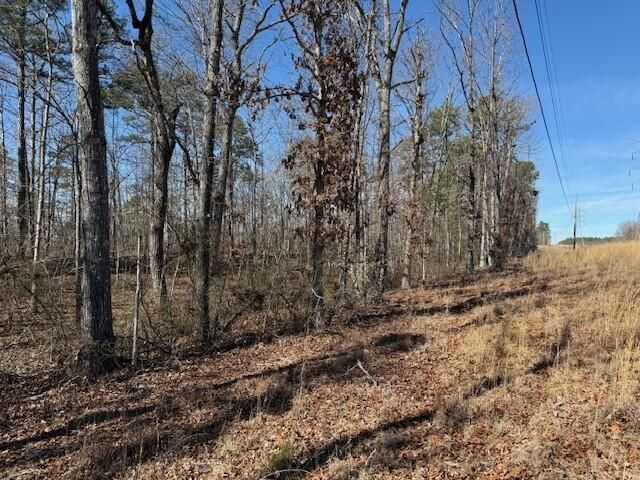 10385 S Pittsburg Mountain Road, South Pittsburg, TN 37380