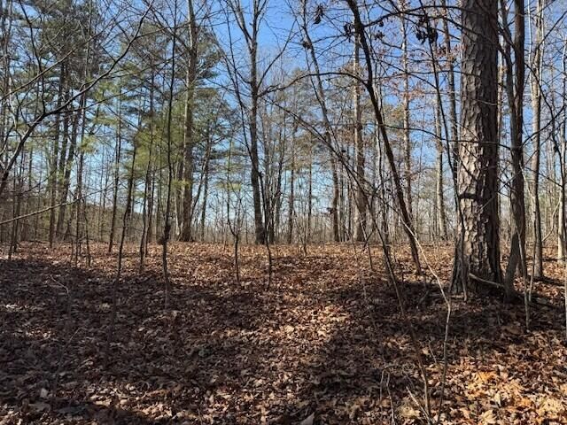 10385 S Pittsburg Mountain Road, South Pittsburg, TN 37380