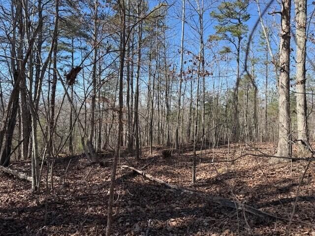 10385 S Pittsburg Mountain Road, South Pittsburg, TN 37380