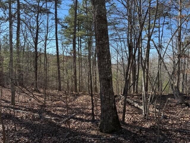 10385 S Pittsburg Mountain Road, South Pittsburg, TN 37380