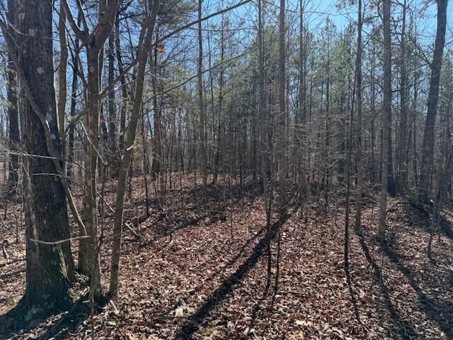 10385 S Pittsburg Mountain Road, South Pittsburg, TN 37380