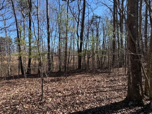 10385 S Pittsburg Mountain Road, South Pittsburg, TN 37380