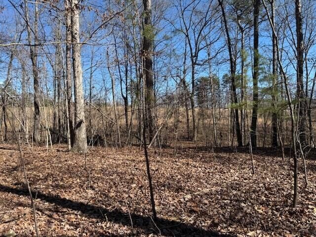 10385 S Pittsburg Mountain Road, South Pittsburg, TN 37380