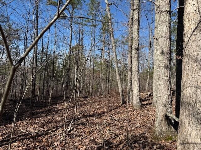10385 S Pittsburg Mountain Road, South Pittsburg, TN 37380