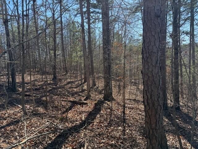 10385 S Pittsburg Mountain Road, South Pittsburg, TN 37380