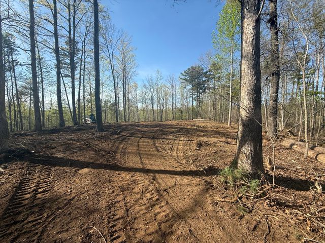 10385 S Pittsburg Mountain Road, South Pittsburg, TN 37380