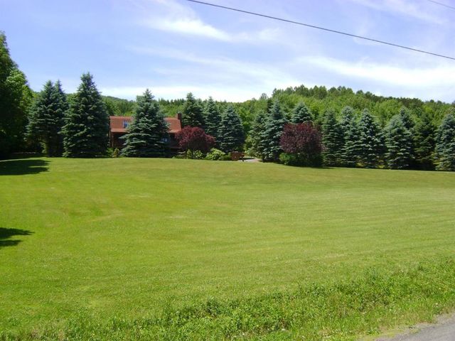 1187 Lower Meeker Hollow Road, Roxbury, NY 12474