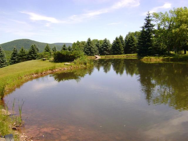 1187 Lower Meeker Hollow Road, Roxbury, NY 12474