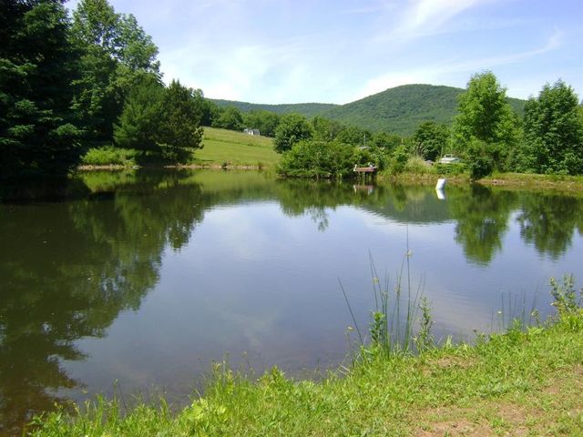 1187 Lower Meeker Hollow Road, Roxbury, NY 12474
