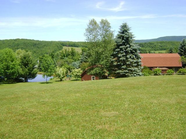 1187 Lower Meeker Hollow Road, Roxbury, NY 12474